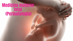 Medicina Materno Fetal - Perinatologia